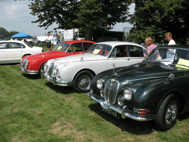 Jaguar lineup Circa 1965