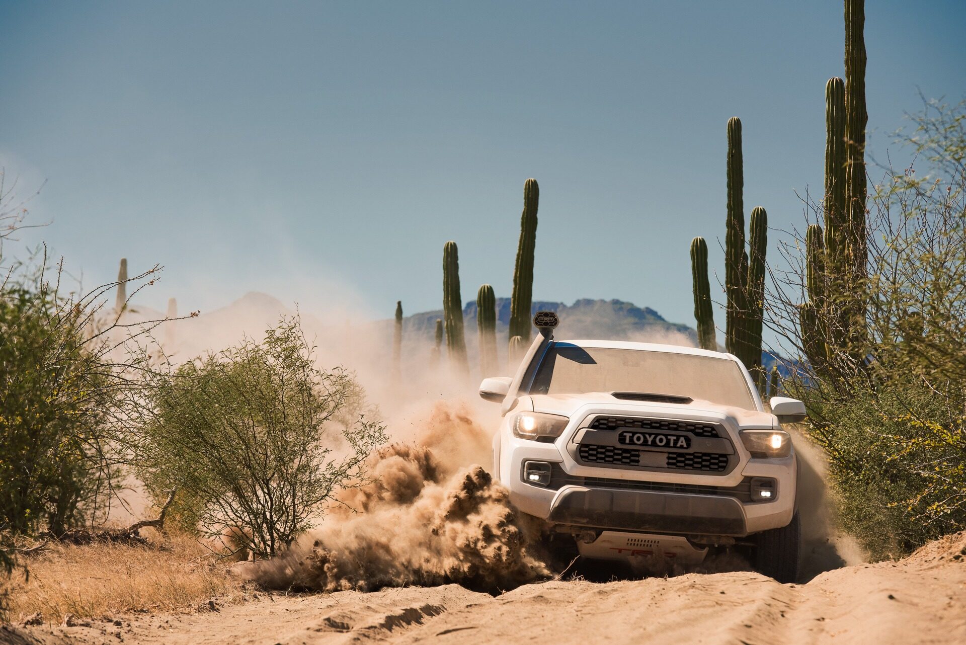 2019 Toyota 4Runner, Tacoma, and Tundra TRD Pro