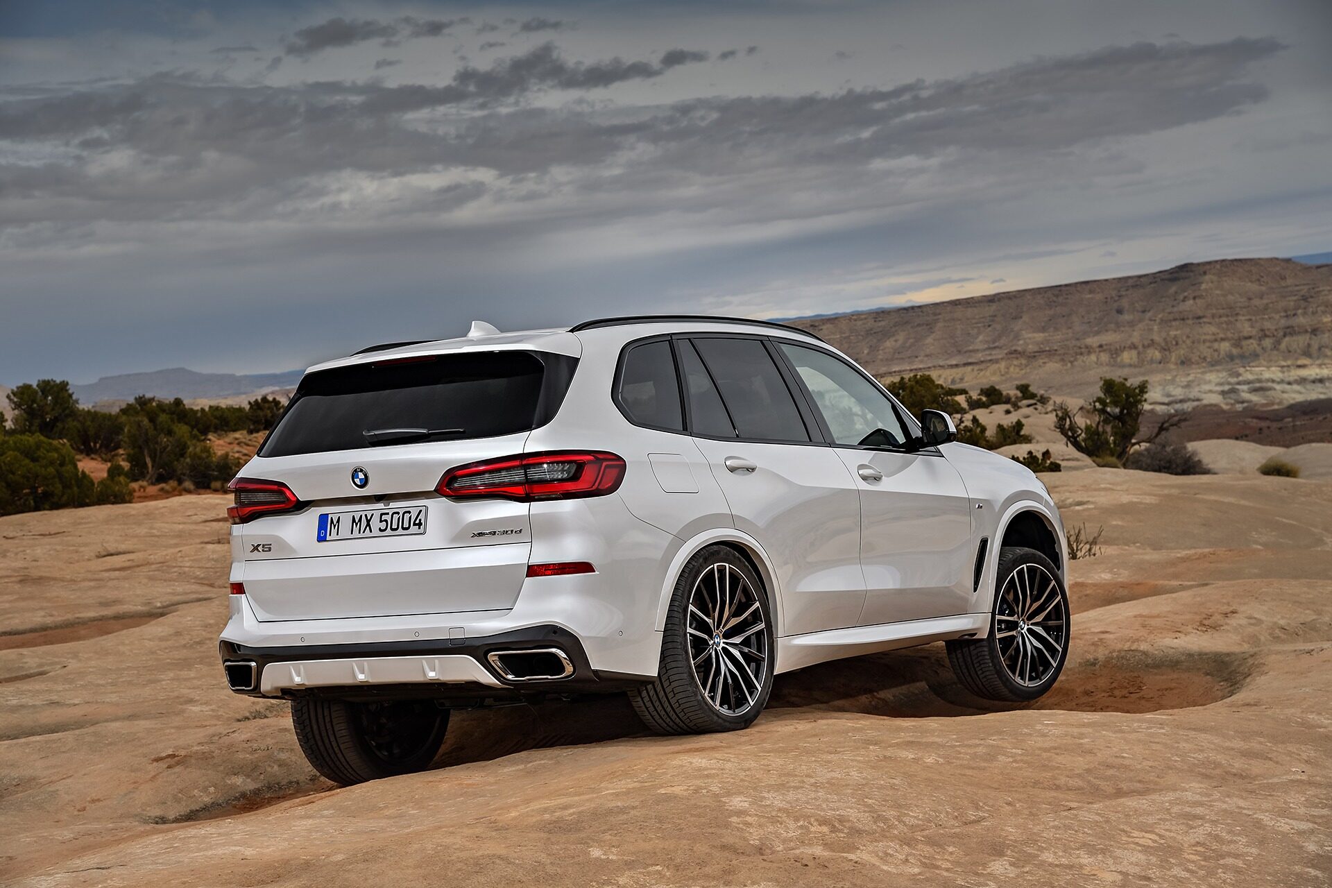 2019 BMW X5