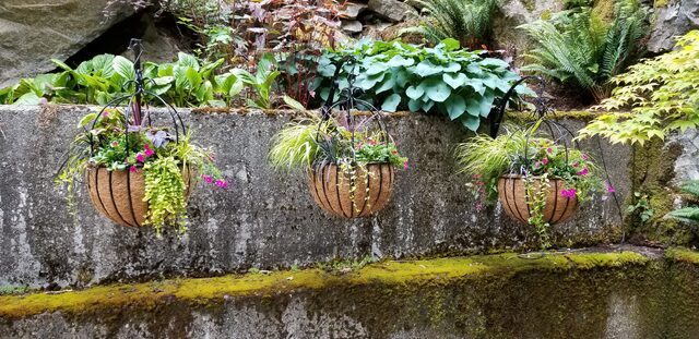 Flower baskets at the Gorge Dam visitors center