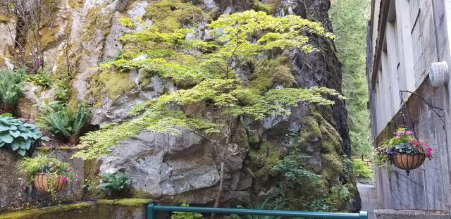 20180616_093154.jpg