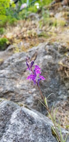 20180616_093323.jpg