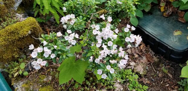 20180616_093505.jpg