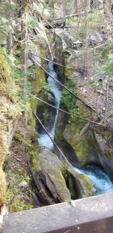Ribbon Falls at Nehalem Garden Park