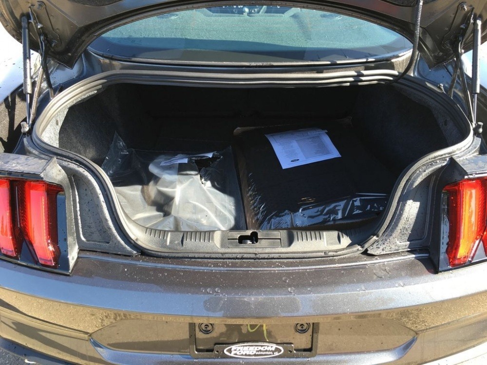 Mustang Trunk.jpg