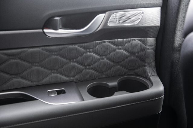 2020 Hyundai Palisade interior [rear door panel quilted leather]