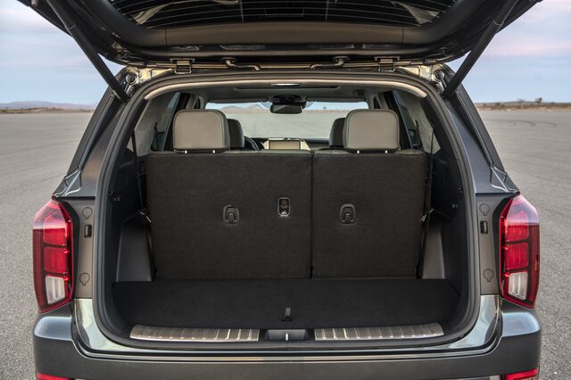 2020 Hyundai Palisade [cargo area standard]