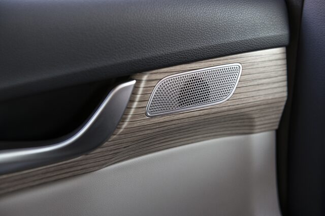 2020 Hyundai Palisade interior [door panel wood trim speaker]