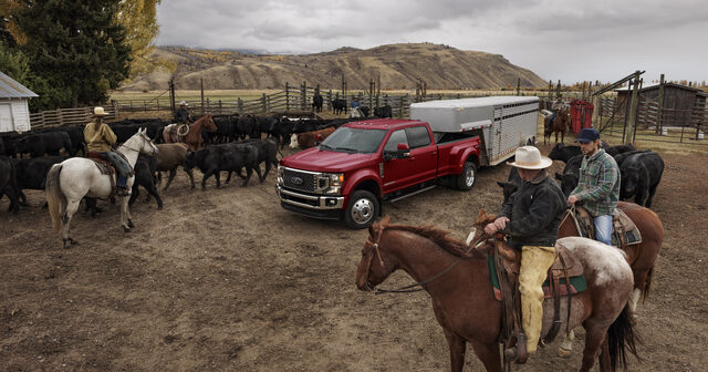 2020 Ford F-Series Super Duty King Ranch, towing a livestock trailer on a ranch