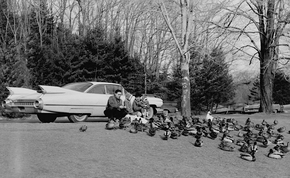 Screen Shot 2019-05-18 at 11.34.09 PM.png