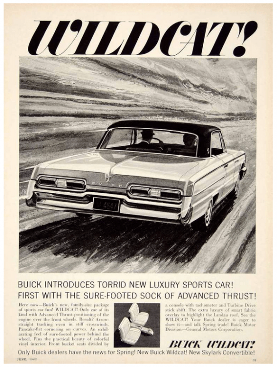 Screen Shot 2019-05-04 at 1.14.01 PM.png