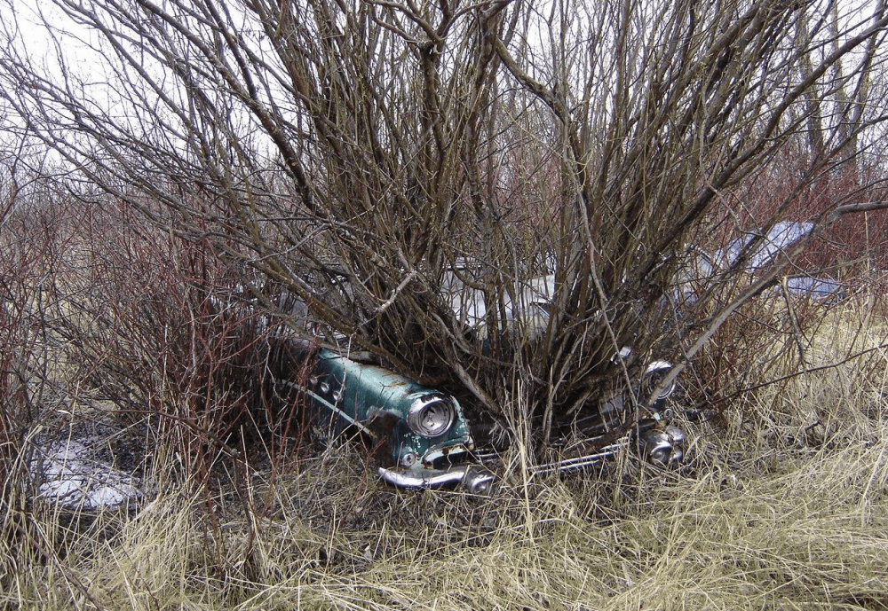 Screen Shot 2019-06-02 at 10.37.48 PM.png