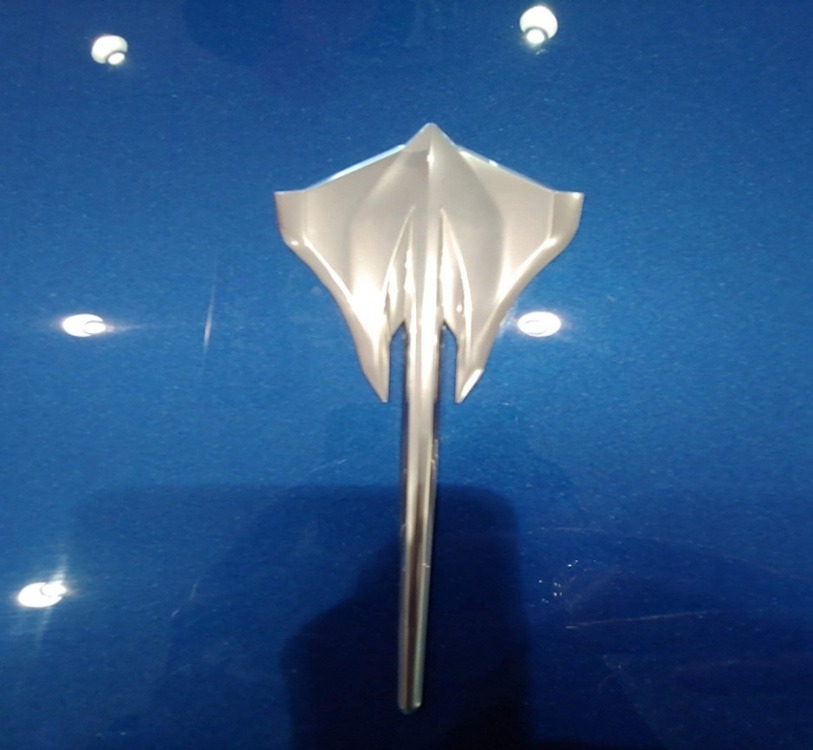 C8 Stingray emblem.jpg