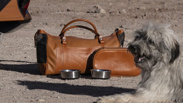 Aston Martin DBX_39_Pet Pack_03.jpg