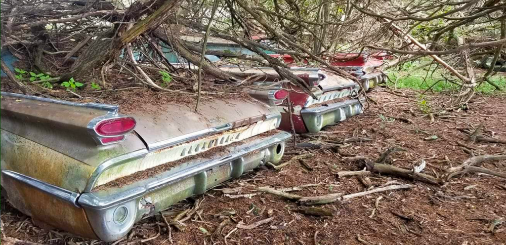 Screen Shot 2020-10-24 at 7.32.53 AM.png