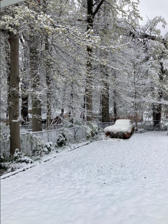 Screen Shot 2021-04-21 at 9.56.24 AM.png