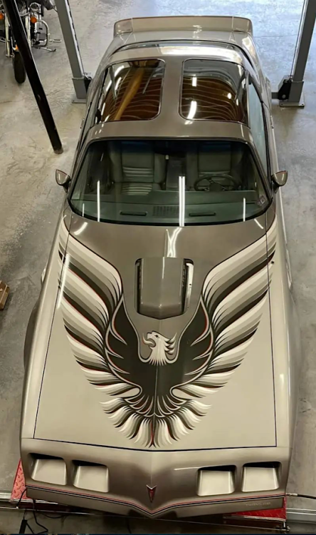 Screen Shot 2021-12-11 at 12.41.32 PM.png