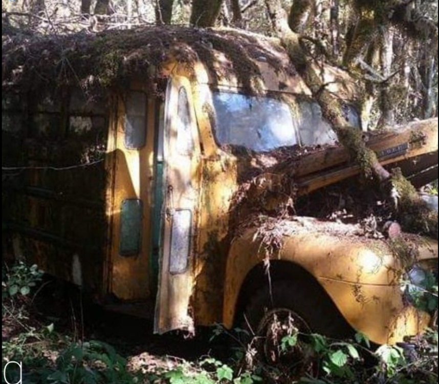 Screen Shot 2022-01-07 at 11.11.09 PM.png