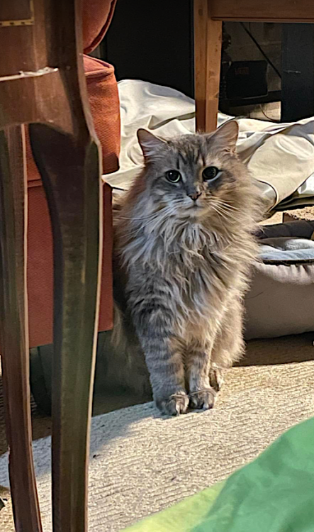 Screen Shot 2022-02-09 at 4.30.41 PM.png