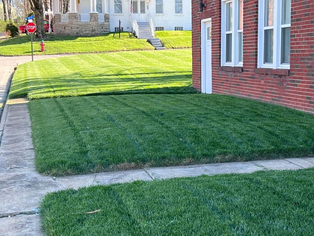 Lawn2.jpg
