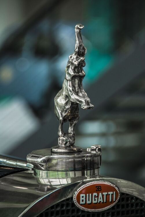 bugatti-elefant.jpg