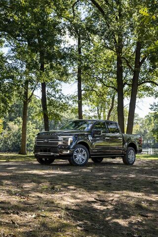 2024 Ford F-150 Platinum_03.jpg