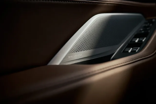 2025 Acura MDX Advance Package Bang and Olufsen Door Speaker Detail