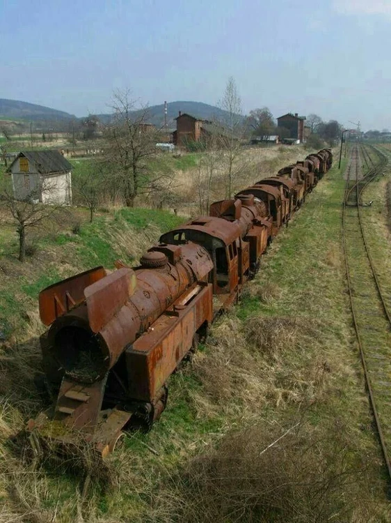 abandoned-train-v0-zijvt727nujd1.thumb.webp.fb5726a07039274a27fcda3190c2d8d1.webp