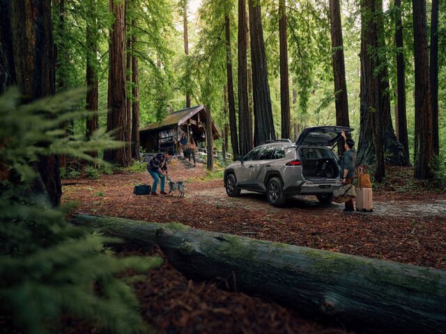 2026 Toyota RAV4 Rear Three-Quarter at Cabin in Redwood Forest